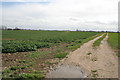 Farm track on Morton Fen in PE10 0PD