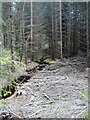Stream from Loch Mharaich, Dalrulzian Forest in PH10 7LH