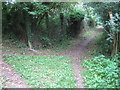 Footpath junction on Darenth Valley Path in TN13 2UG