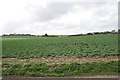 Farmland on the eastern edge of Middle Wallop Airfield in SO20 8FB