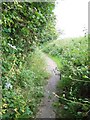 Footpath near Chaffcombe in TA20 4BU