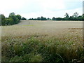 Arable at Oddington 1 in GL56 0UU