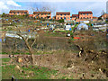 Allotments at Newton Hall in DH1 5YH