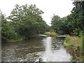 River Teme, Ashford Bowdler in Ashford Bowdler