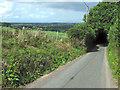Lane descending towards Bush in TA5 1AH