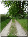 Shalbourne - Path To St Michael & All Saints in SN8 3QF