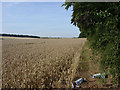 Wheat and flytipping just outside Salisbury in SP5 4JP