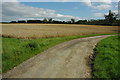 Wheat field at Longborough in GL56 0QQ