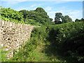 Footpath along the stone wall in TN15 0HX