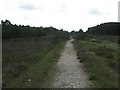 Rockford Common, track in BH24 3LQ