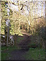 Footpath near the pub with warm ale and lousy food, Hambledon in GU8 4DW