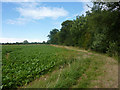 Footpath north of Cockfield Bird Farm in IP30 0HP