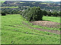 Footpath towards Uppermill near Knowl Farm in OL3 6ES