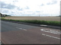 The B6414 road to Elphinstone with barley and pylons beyond in EH33 2HH