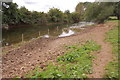 River bank erosion on the River Lugg near Mordiford in HR1 4LN
