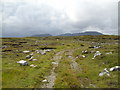 Moorland track near Bragar in HS2 9BD