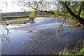 River Ribble from Ribchester in PR3 3ZL