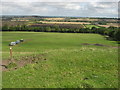 View from footpath on Castle Hill in Blunsdon