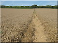Footpath to Faversham Road in TN25 4HB