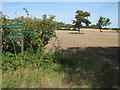 Footpath signs on bend in footpath in TN25 4HA
