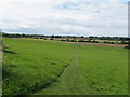 Well marked footpath near Ridlington Farm in Duncton