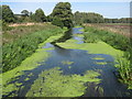 Great Stour seen from Sparrow's Bridge in TN25 5EP