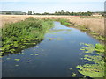 Great Stour seen from the Browning Bridge in TN25 5HB
