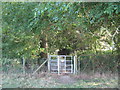 Kissing Gate near Young's Plantation in TN25 4DD