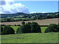 Countryside, near Dunchideock in EX2 9UJ