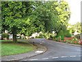 Holyrood Avenue Darlington in DL3 9XN