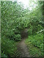 Path from Lydebrook Dingle to Hollybank in TF8 7EP