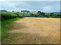 Footpath by a stubble field in HR2 6LJ