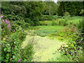 Pond at Green Bottom in GL14 3LH