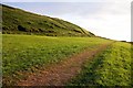 South-west Coast Path near Westward Ho! in EX39 1JS
