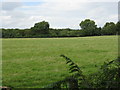 Field Near The Hundred Hamlet in HR6 0HZ