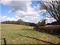 Farmland beside Nag's Head Lane in HP16 0HH