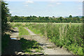 2009 : Short track off Byde Mill Lane in SN10 1SD