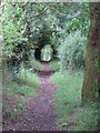 Green Tunnel in SS4 3JD