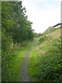 Footpath - Woodlands Country Park - Mill Carr Hill Road in BD12 7EX