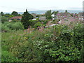 Suburbs of Kirkintilloch from the Canal in G66 1DF