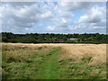 Footpath, Ditchling Common Country Park in RH15 0US