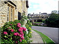 Summer flowers and stone thatched cottages in TA17 8SS