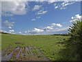 Wet Field in KA13 7QL