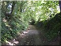 Bottom of the lane to Tuckers Cross in DT9 4PZ