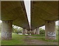 Yet another view of the A64 viaduct crossing the River Ouse at York in YO19 4RB