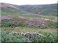 Nether Moor towards Jaggers Clough in S33 7ZH