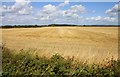 Looking across Steventon Field in Steventon