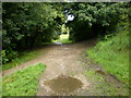 Footpath in Healey Heights Recreation Ground in BB11 2NT
