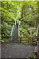 Stairway on footpath from Colinton Dell in EH13 0JP