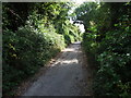 Pilgrims Way, heading towards Boxley in ME14 3BS